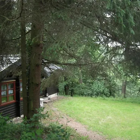 Wunderschoenes Am Waldrand Bad Arolsen
